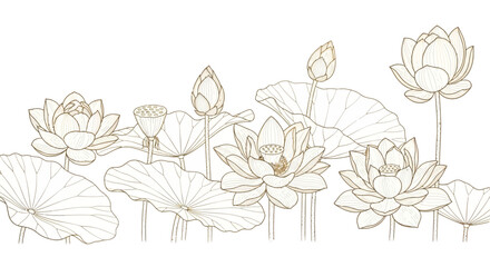 Fototapeta premium Elegant Lotus Flower Outline Illustration A serene design featuring delicate golden lotus blooms and leaves, perfect for adding a touch of nature's grace.