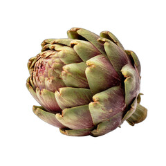 Fototapeta premium Close-up of a fresh artichoke head