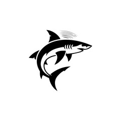 vector illustration of a shark fish