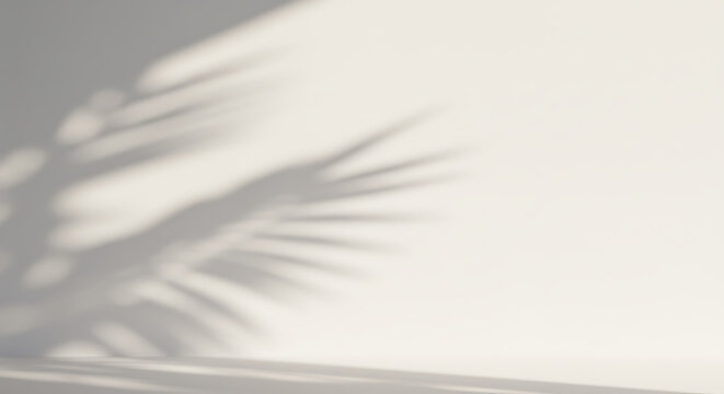 Delicate shadow play of a palm leaf on a light background.
