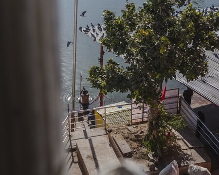 Pushkar, India - 24 June 2025: View of a lone bather immersed in the tranquil waters of Pushkar Lake, framed by the steps of a ghat and a verdant tree, as birds circle above.