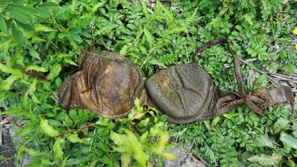 
A breast support found in nature. A woman's bra buried in the mud. Abandoned, lonely, and...