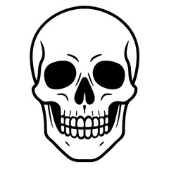Fototapeta premium Detailed Human Skull Head Icon Vector - Anatomy and Mortality Symbol