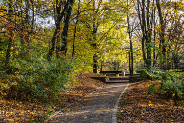 Autumn view of the Luitpold park near Olympic Park in Munich, Bavaria, Germany