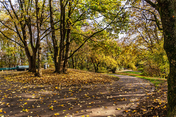 Autumn view of the Luitpold park near Olympic Park in Munich, Bavaria, Germany