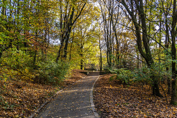 Autumn view of the Luitpold park near Olympic Park in Munich, Bavaria, Germany