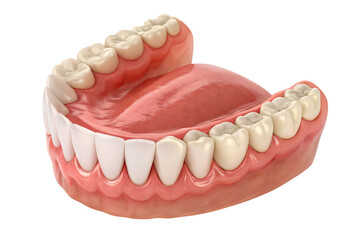 Obraz premium Dentures full removable denture PNG Image
