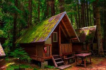 Moss-roofed wooden cabin with a porch, rustic bench, and outdoor table nestled in dense forest....