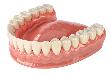 Obraz premium Dentures full removable denture PNG Image