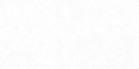 Minimal white topographic contour map background with subtle gray elevation lines. Perfect for geographic themes, navigation concepts, or abstract design with a clean, modern aesthetic.