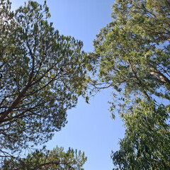 Natura