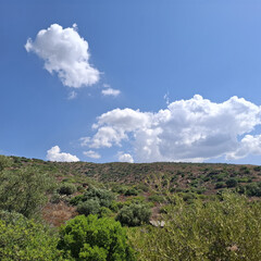 Natura