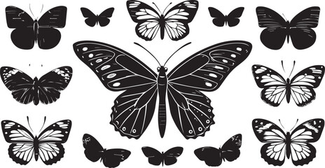 Obraz premium set of butterflies