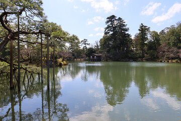 Obraz premium Reflection of trees in an pond water - Japanese gardens