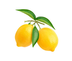 two lemons with leaves on transparent background.
