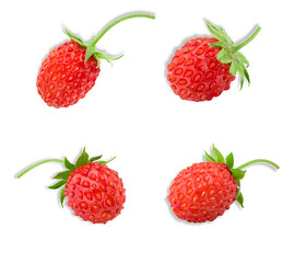 wild strawberries, isolated on transparent background