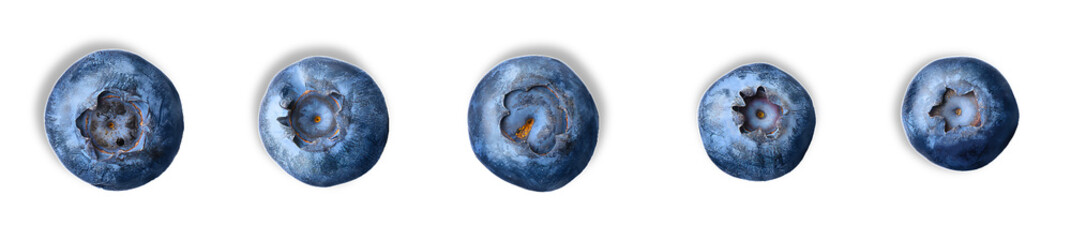 blueberries on transparent background, isolated