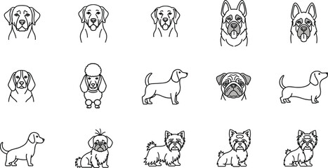 Dog Breeds line icon set. Vector pictograms of labrador, golden retriever, german shepherd, bulldog, beagle, poodle, dachshund, pug, shih tzu, maltese, yorkshire terrier thin linear 