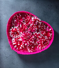 Fuchsia wicker heart shaped basket filled with vibrant bi-color dahlia flowers creating romantic and visually appealing scene against dark textured background, valentines day