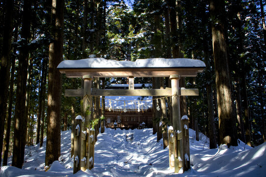 木々に囲まれた鳥居に雪が積もっている風景
