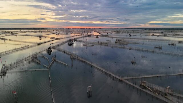 Aerial drone footage of aquaculture fish and shrimp farms at sunset in Vietnam. Rows of ponds and water channels reflecting colorful twilight skies create a serene and atmospheric landscape