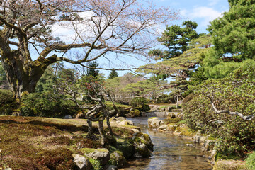 Spring season in an Japanese garden (Kanazawa, Japan)