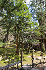 Path in the Kenrokuen garden (Kanazawa, Japan)