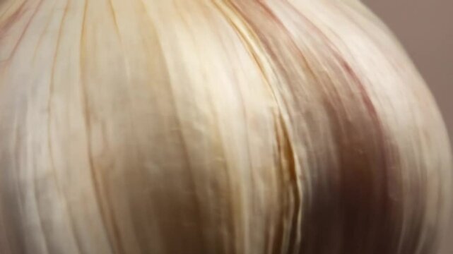 Garlic bulb reveals papery skin