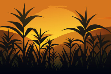 grass silhouette on sunset