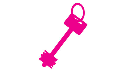 Pink key vectors