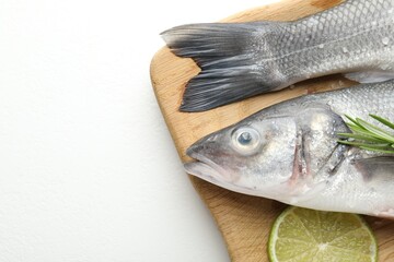 Fresh raw seabass fish with spices on white table, top view and space for text. Seafood delicacies