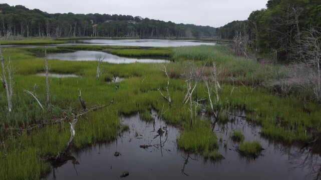 Aerial drone footage of wetlands with vegetation clusters and water holes near roadside in Cape Cod, USA