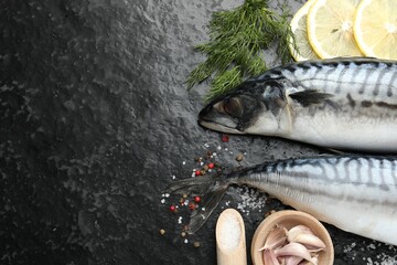Seafood delicacies. Fresh raw mackerels and spices on black table, flat lay. Space for text