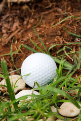 Close-Up of a Golf Ball on Grass Surrounded by Small Stones