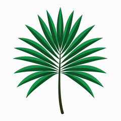 Stylized green palm leaf with a white background and subtle shading