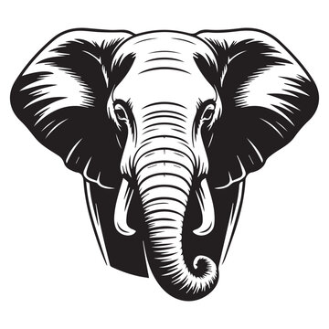 Striking black and white illustration of an elephant head with detailed tusks and trunk against a clean white background