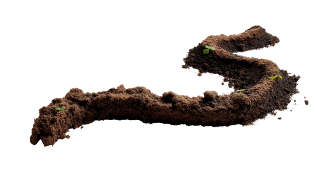   Serpentine Earth Trail: A winding trail of rich, dark earth meanders across a natural landscape, hinting at the vitality of life and the subtle beauty of growth.