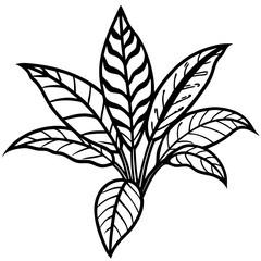 Croton line art vector
