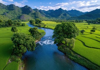 The picturesque landscape of Vietnam's Bac Giang province, showcasing the lush rice fields and mountains under the golden hour's cinematic lighting