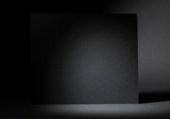 A high-quality studio shot featuring a dark gray/black backdrop with a focused spotlight effect.