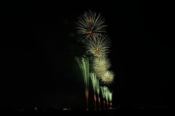 夏の夜空に咲く大輪の花火