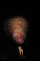 夏の夜空に咲く大輪の花火