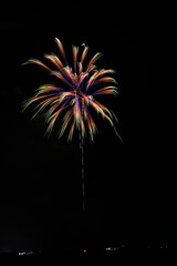 夏の夜空に咲く大輪の花火