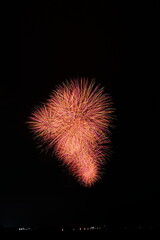夏の夜空に咲く大輪の花火