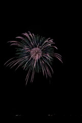 夏の夜空に咲く大輪の花火