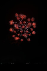 夏の夜空に咲く大輪の花火