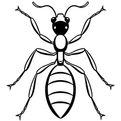 Ant line art vector