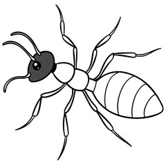 Ant line art vector