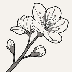 Obraz premium branch of a tree