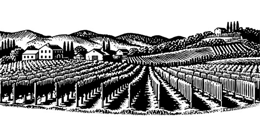 Vineyard landscape in a bold woodcut style in black and white depicting a rustic wine region.